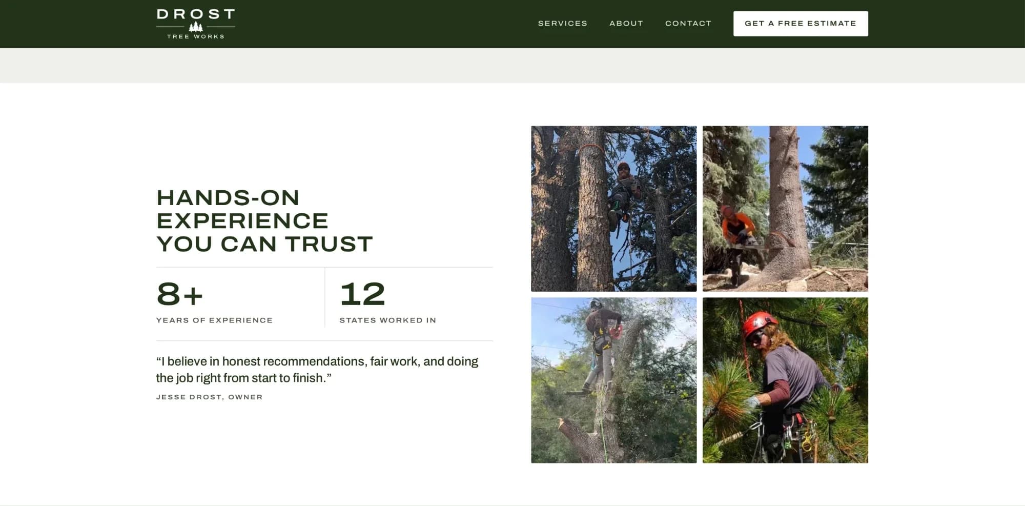 The Drost Tree Works about section: eight-plus years of experience, twelve states worked in, and photos of the crew at work